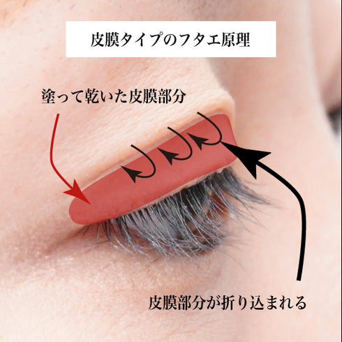 FUTAE FLUID(フタエフルード) 【Eyelist】※販売終了